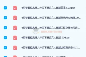 4星学霸提高班（原学霸棒棒堂）2024春小学语文下册全套资料