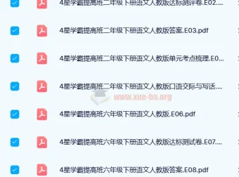 4星学霸提高班（原学霸棒棒堂）2024春小学语文下册全套资料