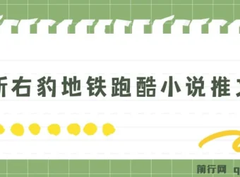 右豹地铁跑酷小说推文变现教程，附1058G素材包