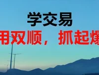 耕耘交易室：股票双顺交易法则基础班视频课程