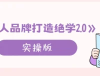 个人品牌打造绝学2.0实操版：从定位到变现的系统课程