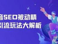抖音SEO被动精准引流玩法详解，抖音精准引流推广实操指南