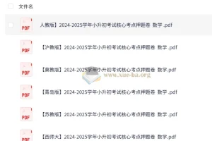2025学年小升初核心考点押题卷（数学多版本合集）