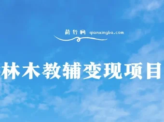 教辅变现项目实操教程：引流与变现全流程，附赠资料资源包