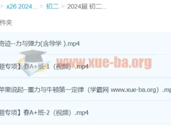 2024初二物理何勇A+寒假班（春上）系统课程