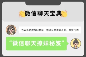 微信聊天宝典：撩妹秘笈（完结）——坏男孩学院实战教程