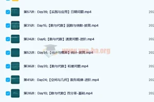 小学应用题学霸特训·高阶综合版（完结）