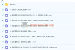 2024高三高考英语 袁慧英语 A+寒假班 课程精讲与笔记合集
