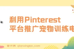Pinterest推广宠物训练电子书，零基础业余时间上传图片赚美金