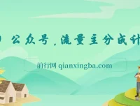 AI赋能公众号流量主，全程实操教学，轻松实现单日收益300+