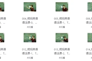 杨妈状元英语工具课（中高阶）——语法精讲与阅读进阶双模块突破