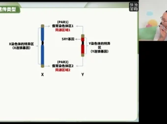 2024高三生物押题班·徐京精讲：核心考点与高考冲刺全攻略