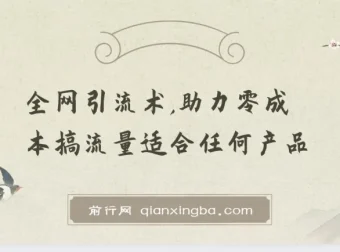 零成本全网引流术，适合任何产品的流量获取实战课程