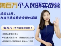 42天个人商业闭环实战营：从方法到思维，构建你的商业全局观