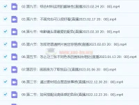 玛莎油画棒高级灰色系风景课 视频教程合集