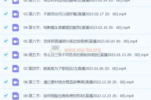 玛莎油画棒高级灰色系风景课 视频教程合集