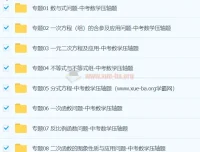中考数学压轴题专题训练合集（原卷+解析版）