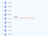 2021高考物理李玮玮哥线下课精讲合集