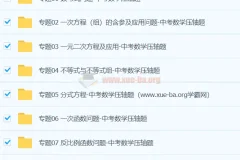 中考数学压轴题专题训练合集（原卷+解析版）