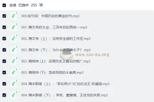 孙英刚精讲唐史：从隋唐嬗变到武周风云，一部听得懂的大唐兴衰史