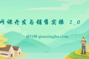 网课开发与销售实操2.0：从零打造爆款课程全流程指南