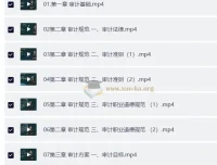 2025年高级审计师备考资料包：教材精讲视频+讲义+电子书
