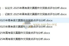 2025年高考语文真题作文深度点评与分析资料包