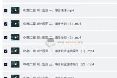 2025年高级审计师备考资料包：教材精讲视频+讲义+电子书
