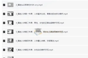 六桥水彩风可爱少女立绘2024教程合集