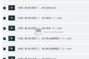 2025年高级审计师备考资料包：教材精讲视频+讲义+电子书
