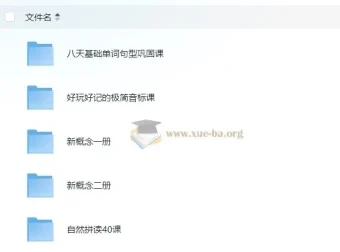 野生英语老师Frank 英语教学五合一课程 系统提升听说读写