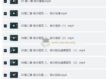 2025年高级审计师备考资料包：教材精讲视频+讲义+电子书