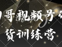 狗哥视频号带货训练营：从选品到实操的系统课程