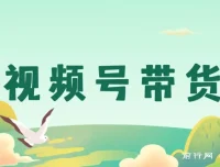 视频号带货实操指南：从开店到爆单全流程解析