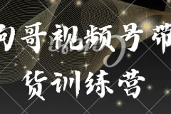 狗哥视频号带货训练营：从选品到实操的系统课程