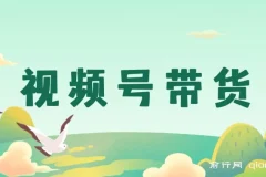视频号带货实操指南：从开店到爆单全流程解析