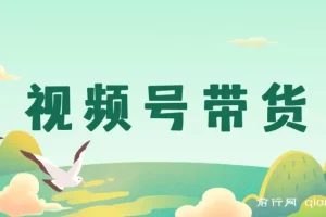 视频号带货实操指南：从开店到爆单全流程解析