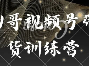 狗哥视频号带货训练营：从选品到实操的系统课程
