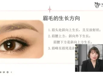 毛戈平亲授：2小时零基础眉毛化妆速成课