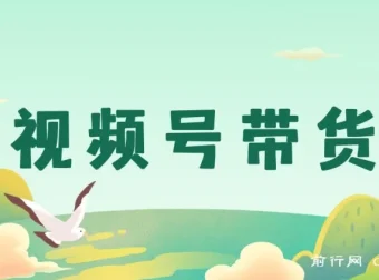 视频号带货实操指南：从开店到爆单全流程解析