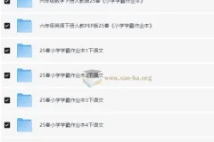 小学学霸作业本·语数英（2025春）1-6年级下册全科资料包