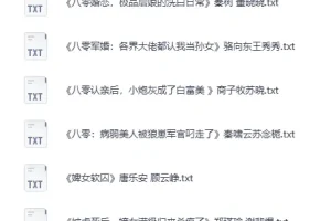 抖音番茄平台付费小说合集·热门书单精选TXT打包