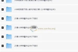 小学学霸作业本·语数英（2025春）1-6年级下册全科资料包