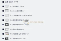 外贸人Codex+WordPress独立站建站与SEO实战课