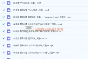2024高一化学 王瑾 寒假班 同步更新