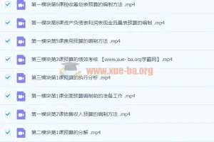 徐欣：全面预算的编制执行与控制实战课程