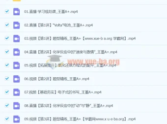 2024高一化学 王瑾 寒假班 同步更新