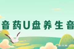 健康养生细分赛道，音药U盘养生音乐项目，零基础可批量操作月入过万