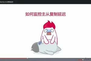 MySQL架构设计与性能优化实战课程 附完整源码课件