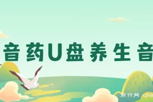 健康养生细分赛道，音药U盘养生音乐项目，零基础可批量操作月入过万